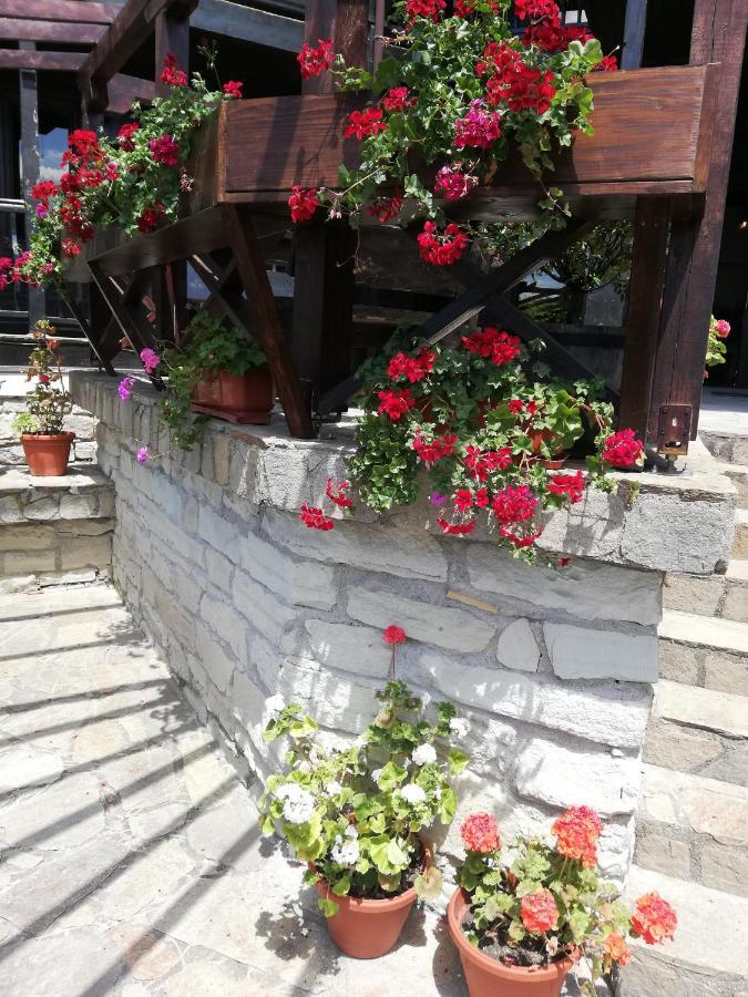 Trifon Zarezan Family Hotel Glavatartsi Zewnętrze zdjęcie