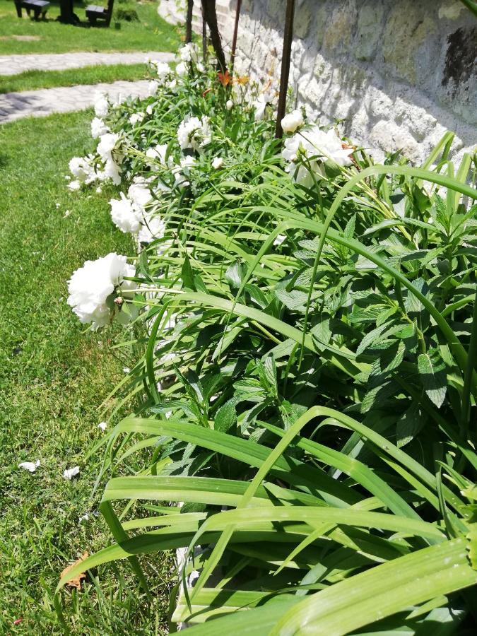 Trifon Zarezan Family Hotel Glavatartsi Zewnętrze zdjęcie